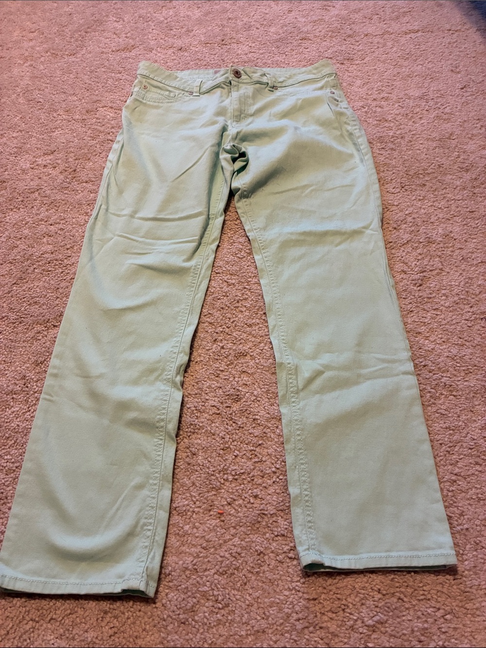 Jordache Light Mint Green Women's Pants